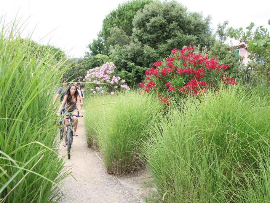 Les Restanques Bougainvillee 2051 กรีโมด์ ภายนอก รูปภาพ